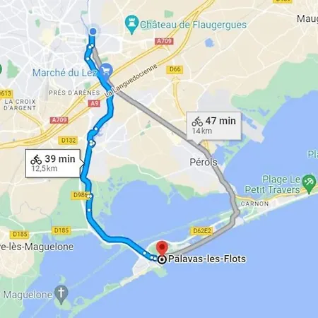 Montpellier: Appart Cozy Et Spacieux Au Centre Exterior photo