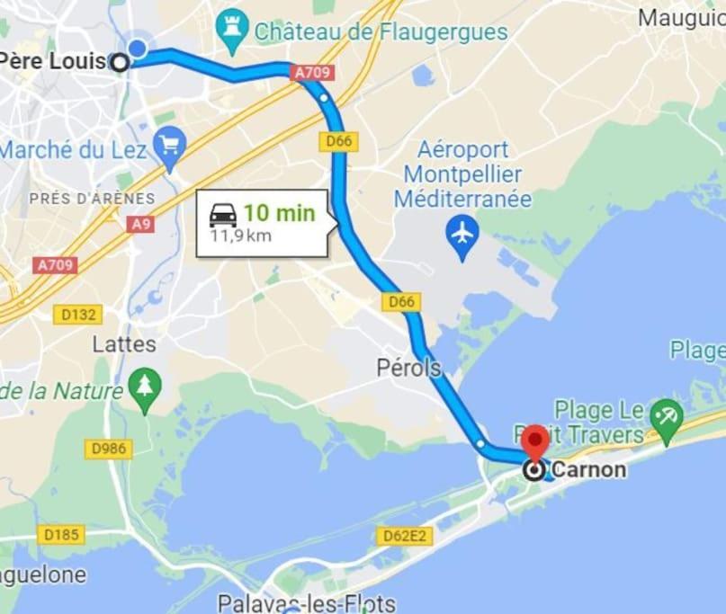 Apartment Montpellier: Cozy Et Spacieux Au Centre *