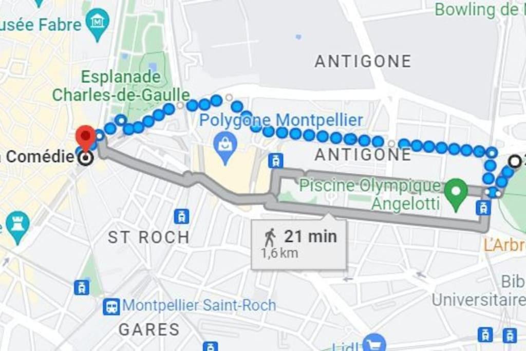 Montpellier: Cozy Et Spacieux Au Centre Apartment Montpellier