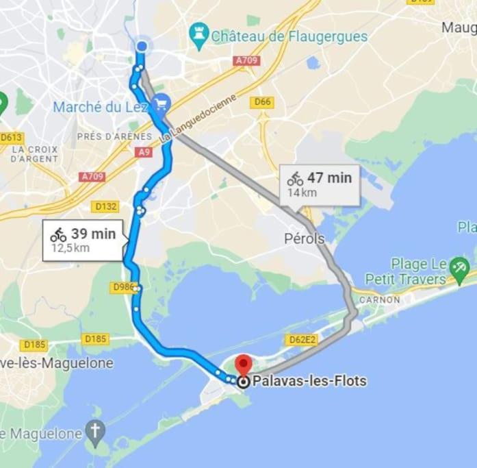 Montpellier: Cozy Et Spacieux Au Centre Montpellier